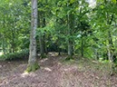 %_tempFileNameUK04-Threave%20walk-030%