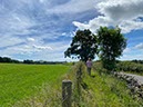 %_tempFileNameUK04-Threave%20walk-033%