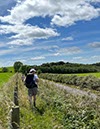 %_tempFileNameUK04-Threave%20walk-034%