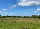 %_tempFileNameUK04-Threave%20walk-053%