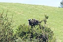 %_tempFileNameUK04-Threave%20walk-075%