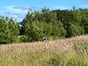 %_tempFileNameUK04-Threave%20walk-078%