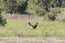 %_tempFileNameUK04-Threave%20walk-093%