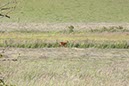 %_tempFileNameUK04-Threave%20walk-103%
