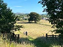 %_tempFileNameUK04-Threave%20walk-113%