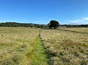 %_tempFileNameUK04-Threave%20walk-114%