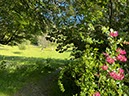 %_tempFileNameUK04-Threave%20walk-118%