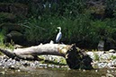 %_tempFileNameUK06-Annan%20River-06%