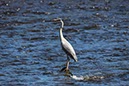%_tempFileNameUK06-Annan%20River-21%
