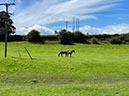 %_tempFileNameUK06-Annan%20River-25%
