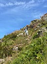 %_tempFileNameUK08-Sycamore%20Gap-27%