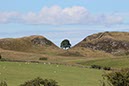 %_tempFileNameUK08-Sycamore%20Gap-32%