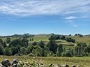 %_tempFileNameUK08-Sycamore%20Gap-35%