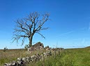 %_tempFileNameUK09-Farlam-08%