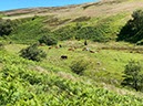 %_tempFileNameUK09-Farlam-34%