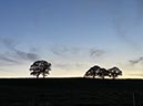 %_tempFileNameUK09-Farlam-69%
