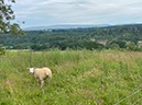 %_tempFileNameUK11%20Lanercost%20priory-03%