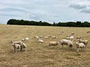 %_tempFileNameUK11%20Lanercost%20priory-13%