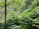 %_tempFileNameUK11%20Lanercost%20priory-21%