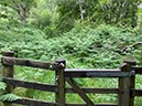 %_tempFileNameUK11%20Lanercost%20priory-22%
