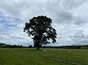 %_tempFileNameUK13-Glassonby-15%