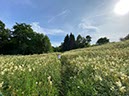 %_tempFileNameUK16%20Appleby-32%
