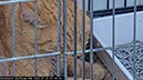 %_tempFileNameUK19-Falls%20en%20naar%20huis-64%