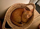 %_tempFileNameUK19-Falls%20en%20naar%20huis-67%