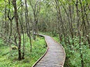 %_tempFileNameUk05-Mabie%20Forest-28%