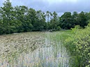 %_tempFileNameUk05-Mabie%20Forest-30%