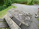 %_tempFileNameUk05-Mabie%20Forest-32%