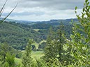 %_tempFileNameUk05-Mabie%20Forest-40%