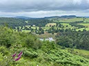 %_tempFileNameUk05-Mabie%20Forest-44%
