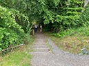 %_tempFileNameUk05-Mabie%20Forest-51%