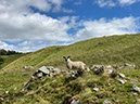 %_tempFileNameUK12-Alston-10%
