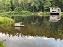 %_tempFileNameVog00-Aankomst-20%