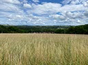 %_tempFileNameVog01-Bainville-%20aux-Miroirs-09%