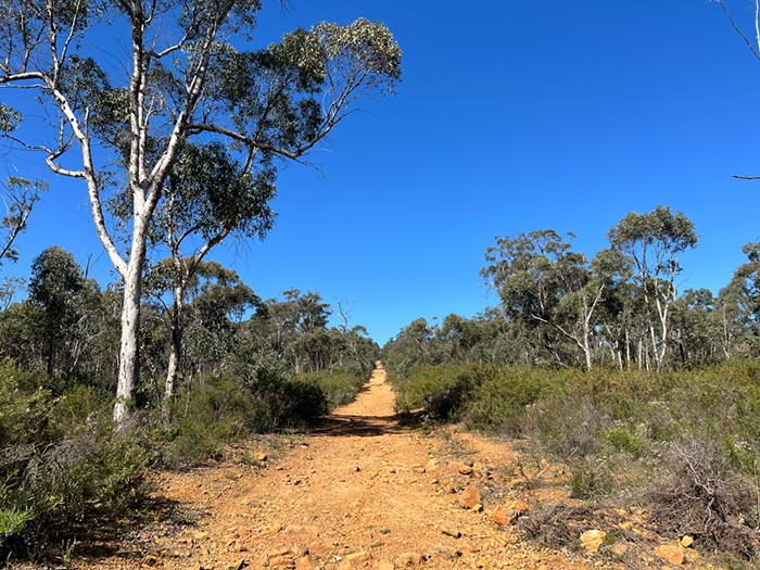 %_tempFileNameAus06-Christmastree%20trail-24%