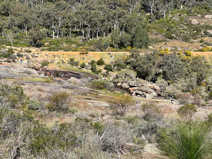 %_tempFileNameAus06-Christmastree%20trail-29%