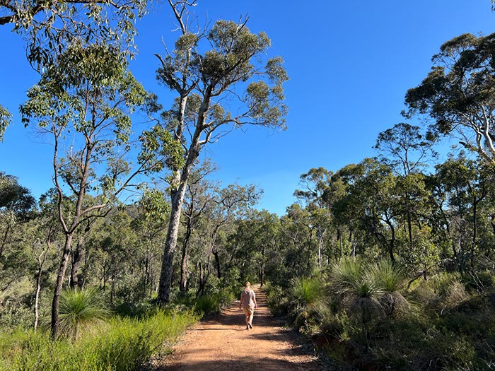 %_tempFileNameAus06-Christmastree%20trail-30%