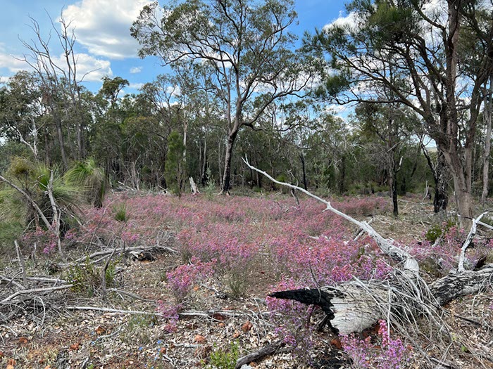 %_tempFileNameAus07-railway%20trail-23%