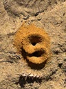 %_tempFileNameAus02-Yanchup-31%