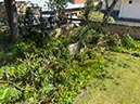 %_tempFileNameAus03-Swanbourne-2%