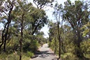 %_tempFileNameAus04-Kings%20Park-11%