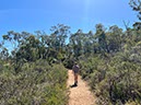 %_tempFileNameAus06-Christmastree%20trail-08%
