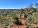 %_tempFileNameAus06-Christmastree%20trail-14%