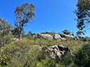 %_tempFileNameAus06-Christmastree%20trail-15%