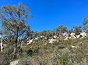 %_tempFileNameAus06-Christmastree%20trail-23%