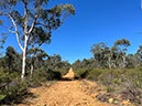 %_tempFileNameAus06-Christmastree%20trail-24%