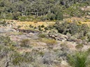 %_tempFileNameAus06-Christmastree%20trail-29%